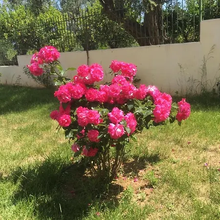 Διαμέρισμα Lovely Next To The Sea Lygia Korinthias Λυγιά