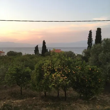 Lovely Next To The Sea Lygia Korinthias