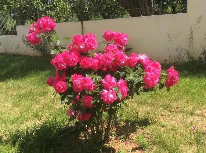 Appartement Lovely Next To The Sea Lygia Korinthias Ligia (Corinthia)