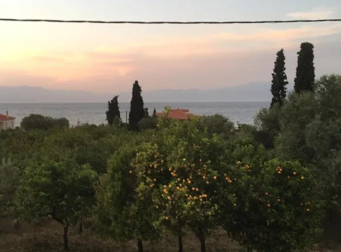 Lovely Next To The Sea Lygia Korinthias